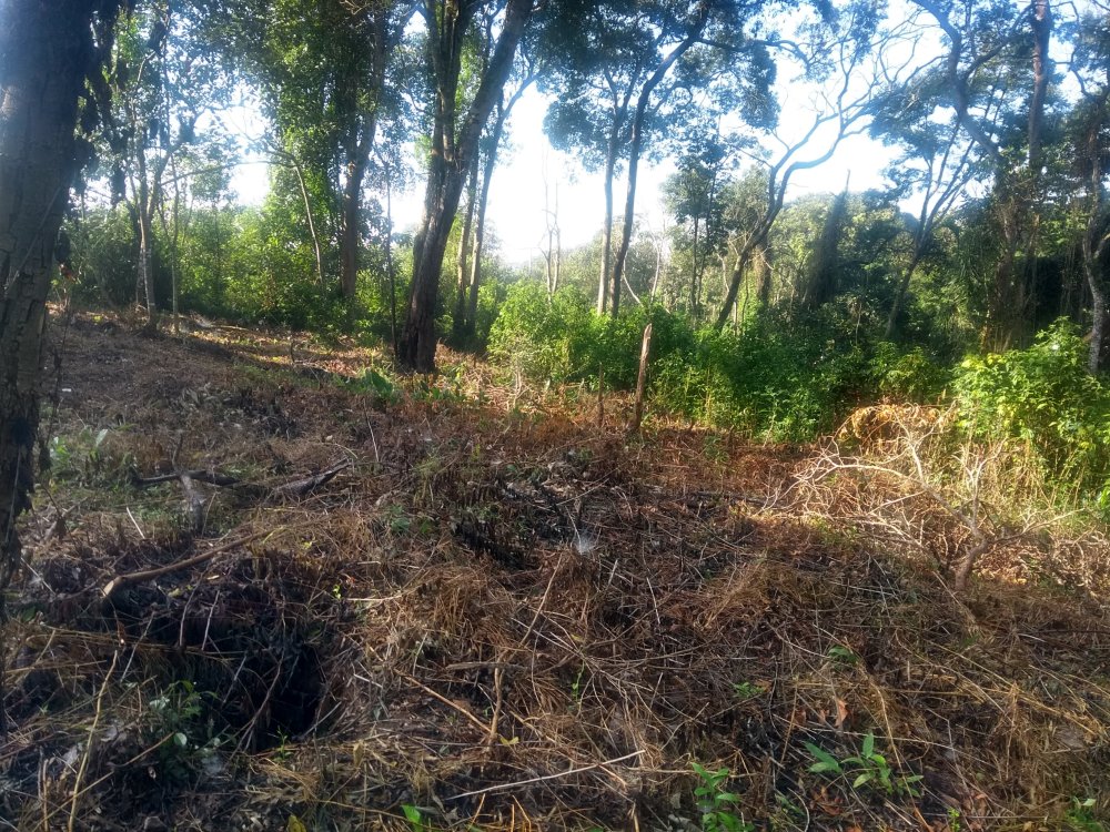 Terreno - Venda - Aguassa (caucaia do Alto) - Cotia - SP